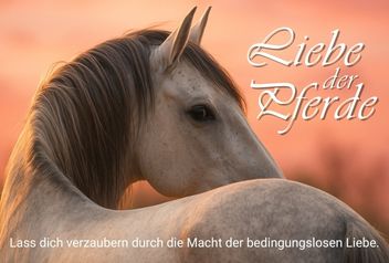 Liebe der Pferde
