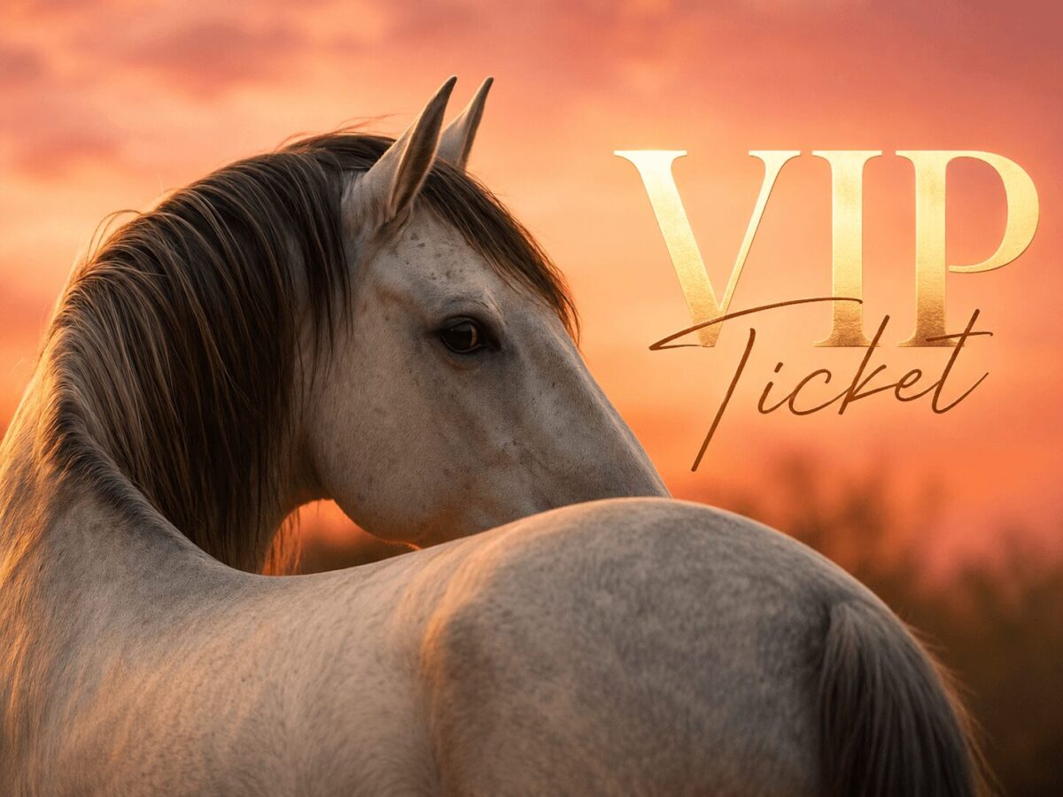 VIP-Ticket