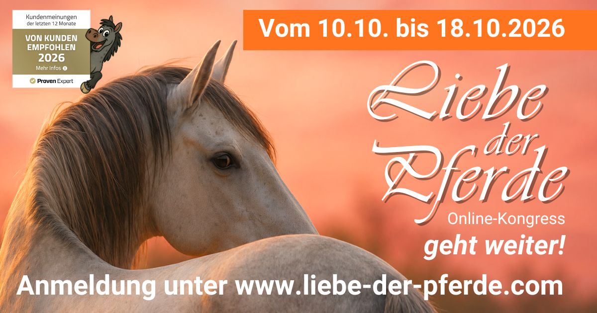 Banner Rechteck