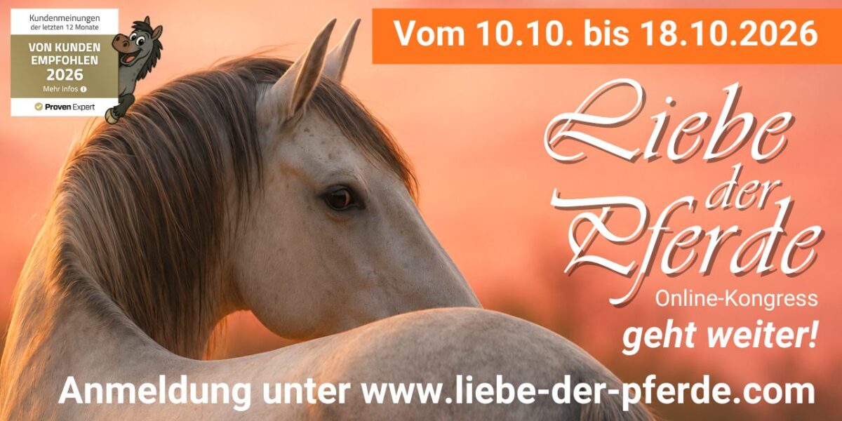 Banner Rechteck