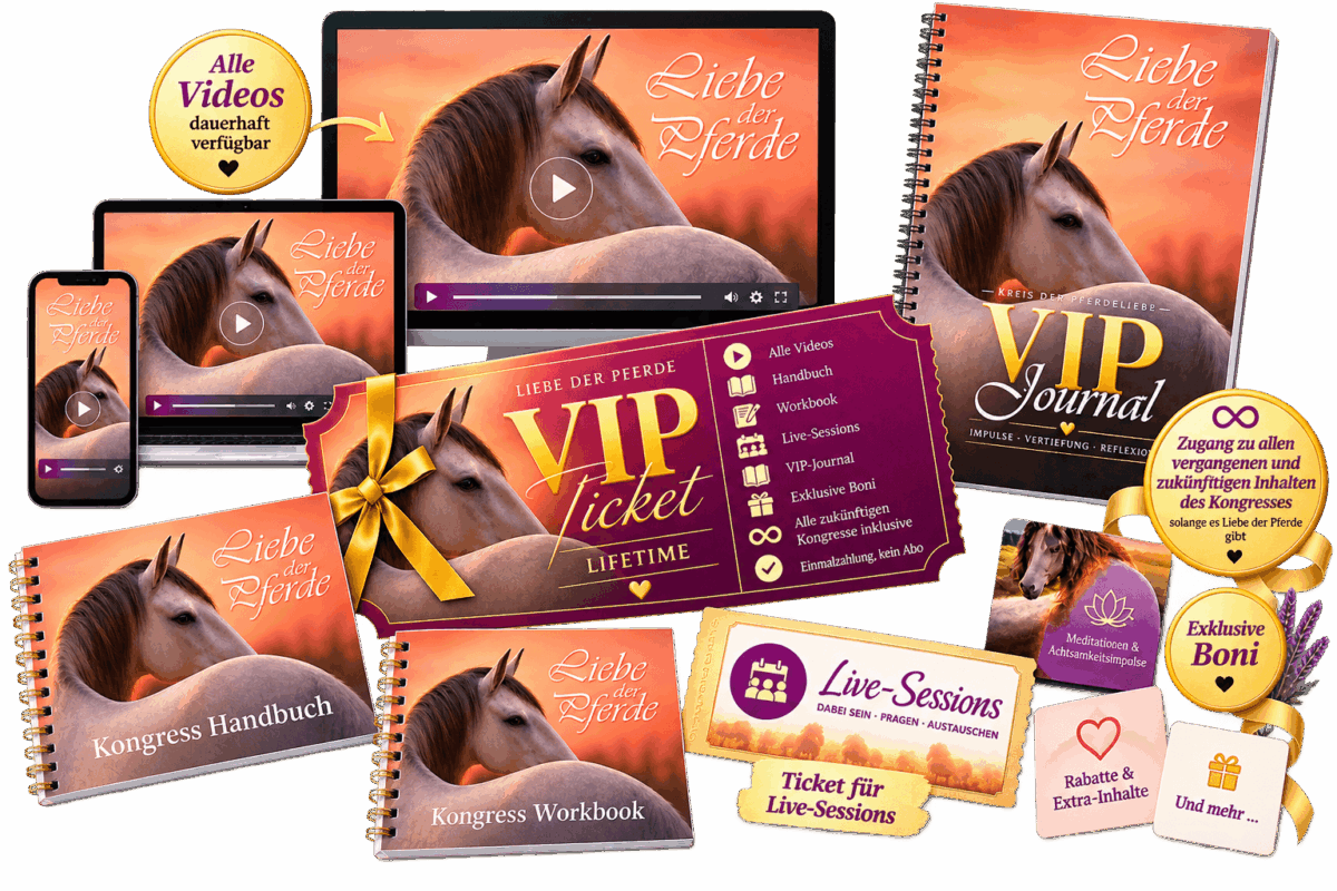 VIP-Ticket